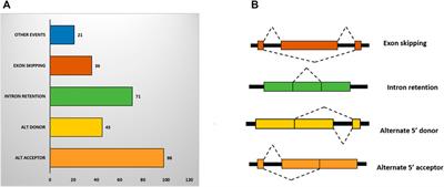 Transcriptome Analysis of Bread Wheat Genotype KRL3-4 Provides a New Insight Into Regulatory Mechanisms Associated With Sodicity (High pH) Tolerance